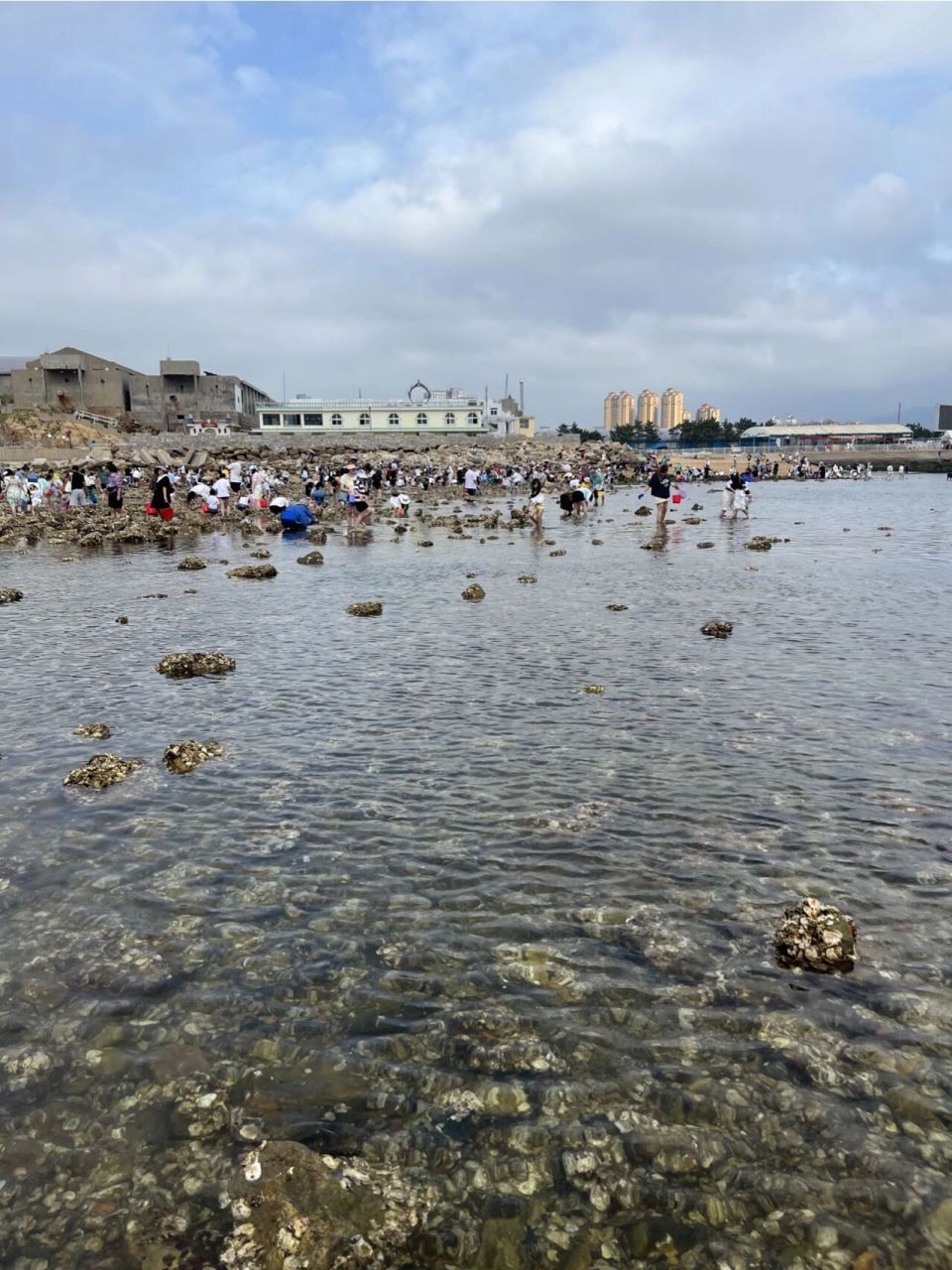 威海||小石岛赶海||收费区vs免费区 去了免费区和收费区 对比如下