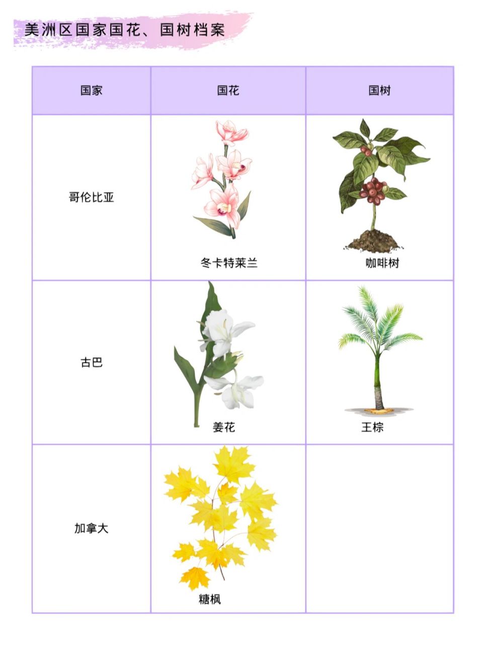 日本的国树和国花图片