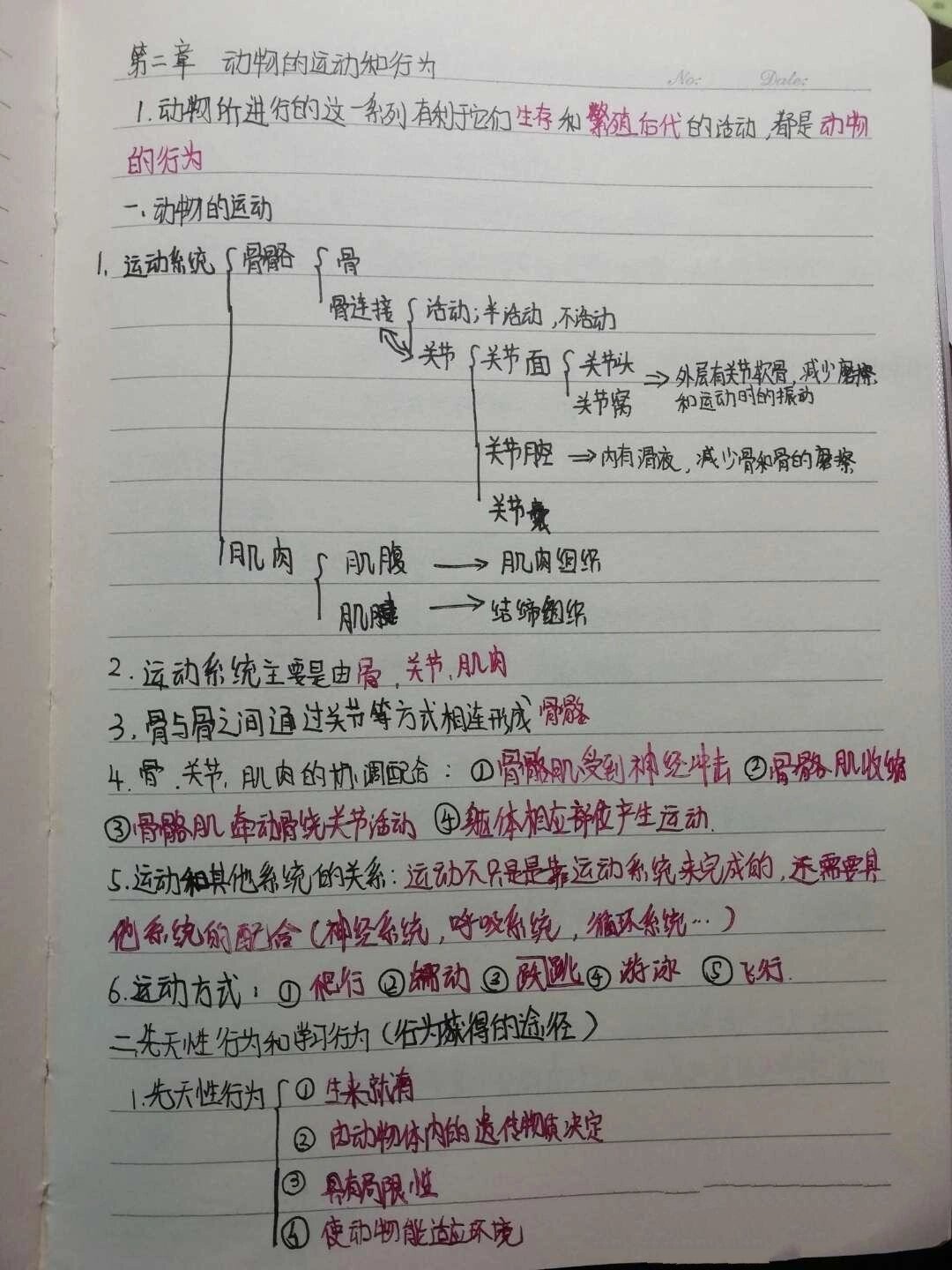 八年级上册生物笔记