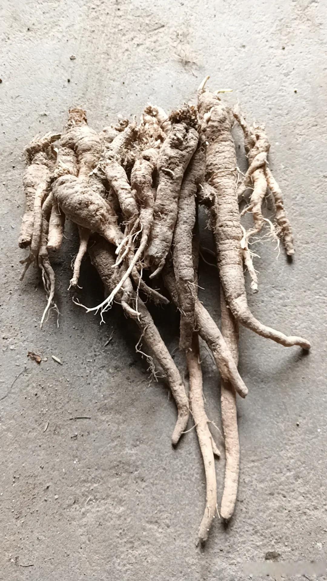 这东西相信好多人不认识,这是我花了一个上午找到的