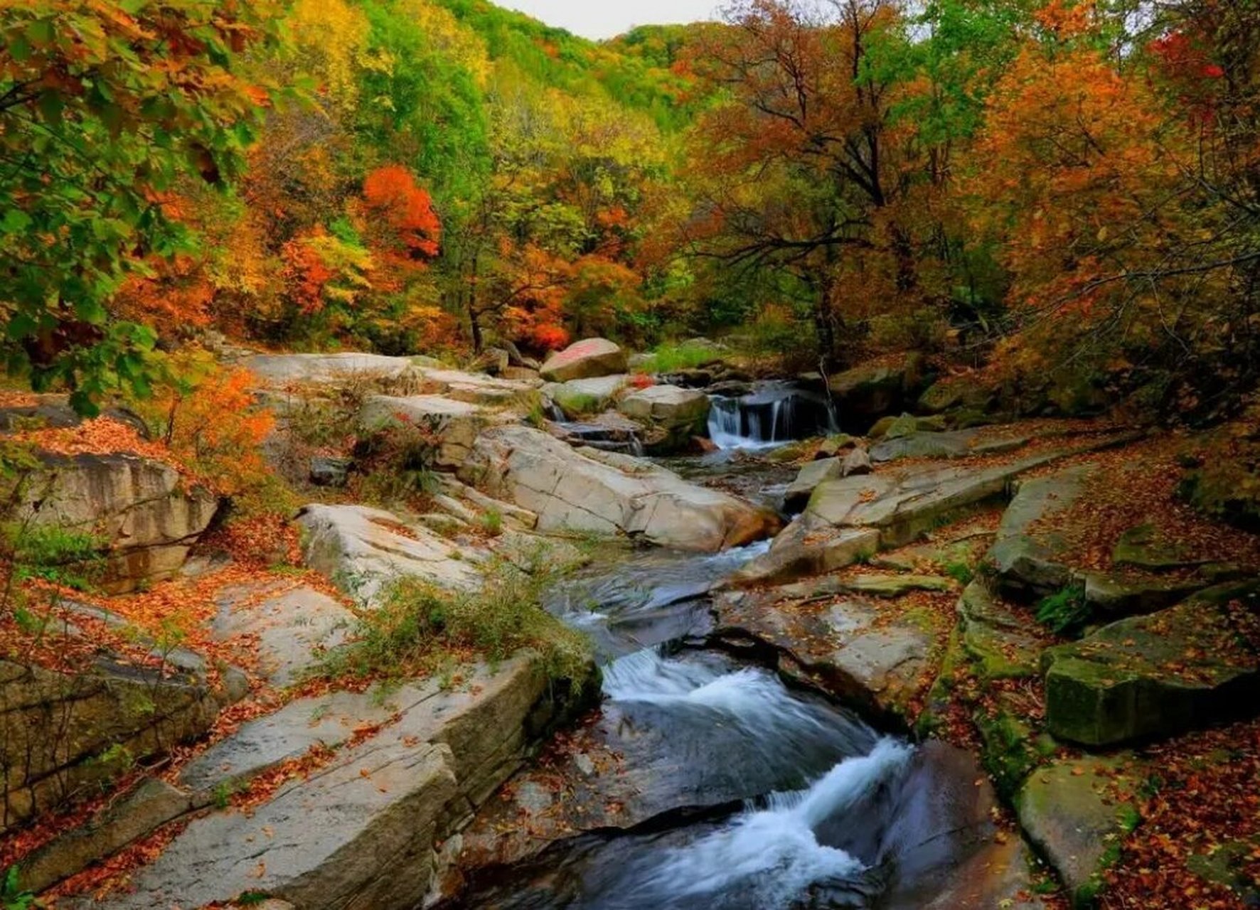 抚顺县景点 抚顺县 三块石国家森林公园 青龙寺 天女山风景区 白鹭岛