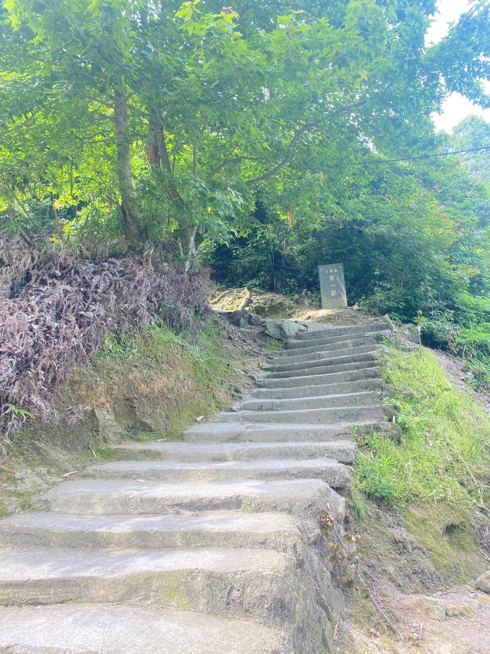 苍南藻溪三台山风景图片