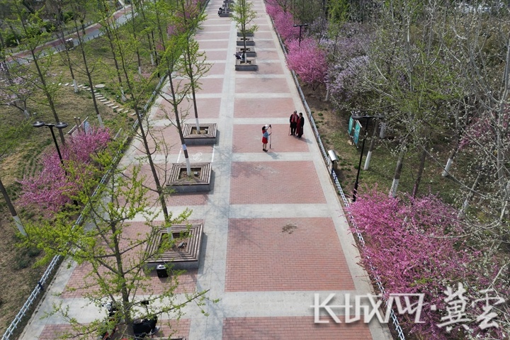 时下,唐山市开平区各个景区,公园里正是花红柳绿,春色满园,吸引众多