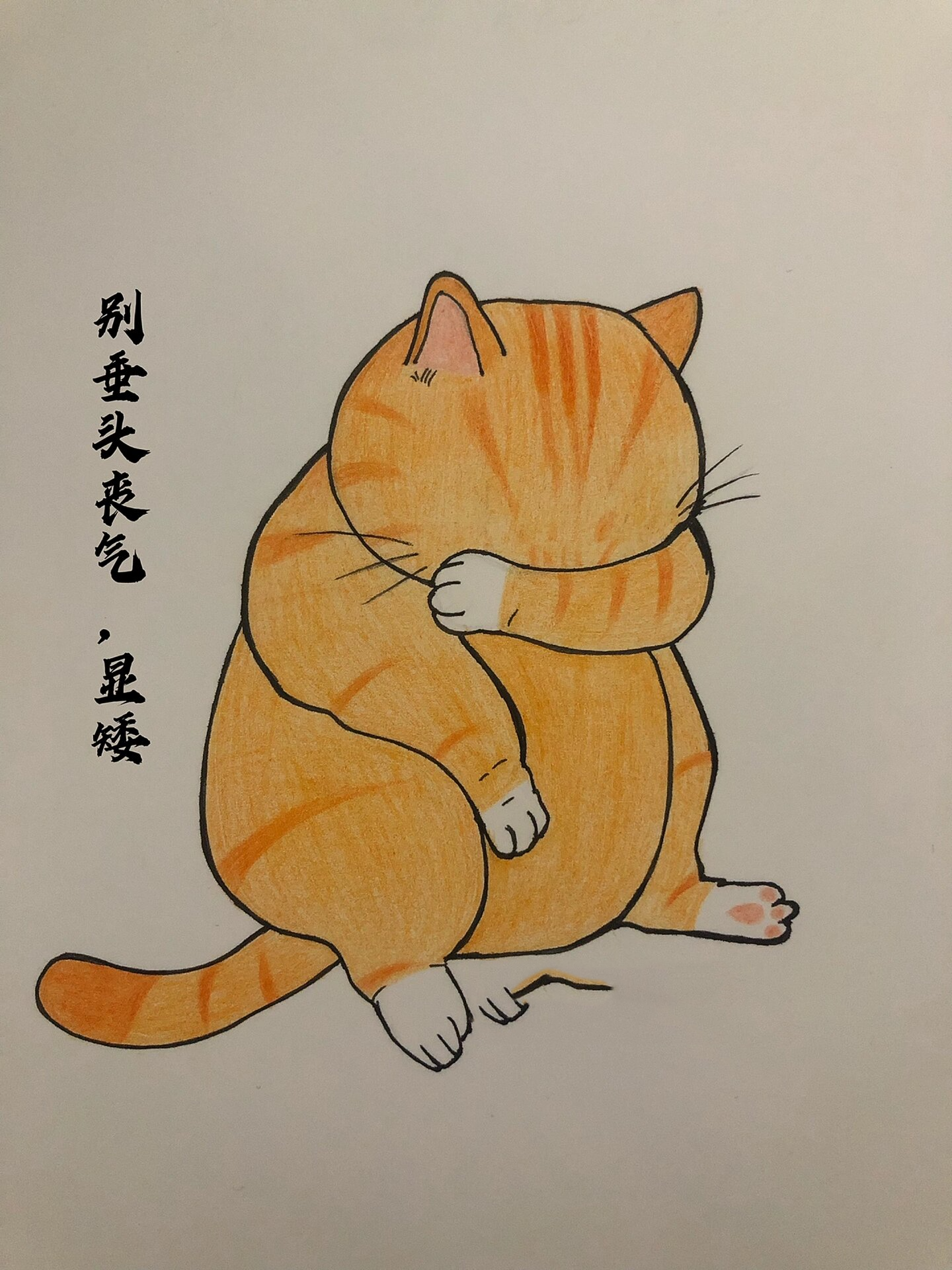 怎么画可爱的大橘猫图片