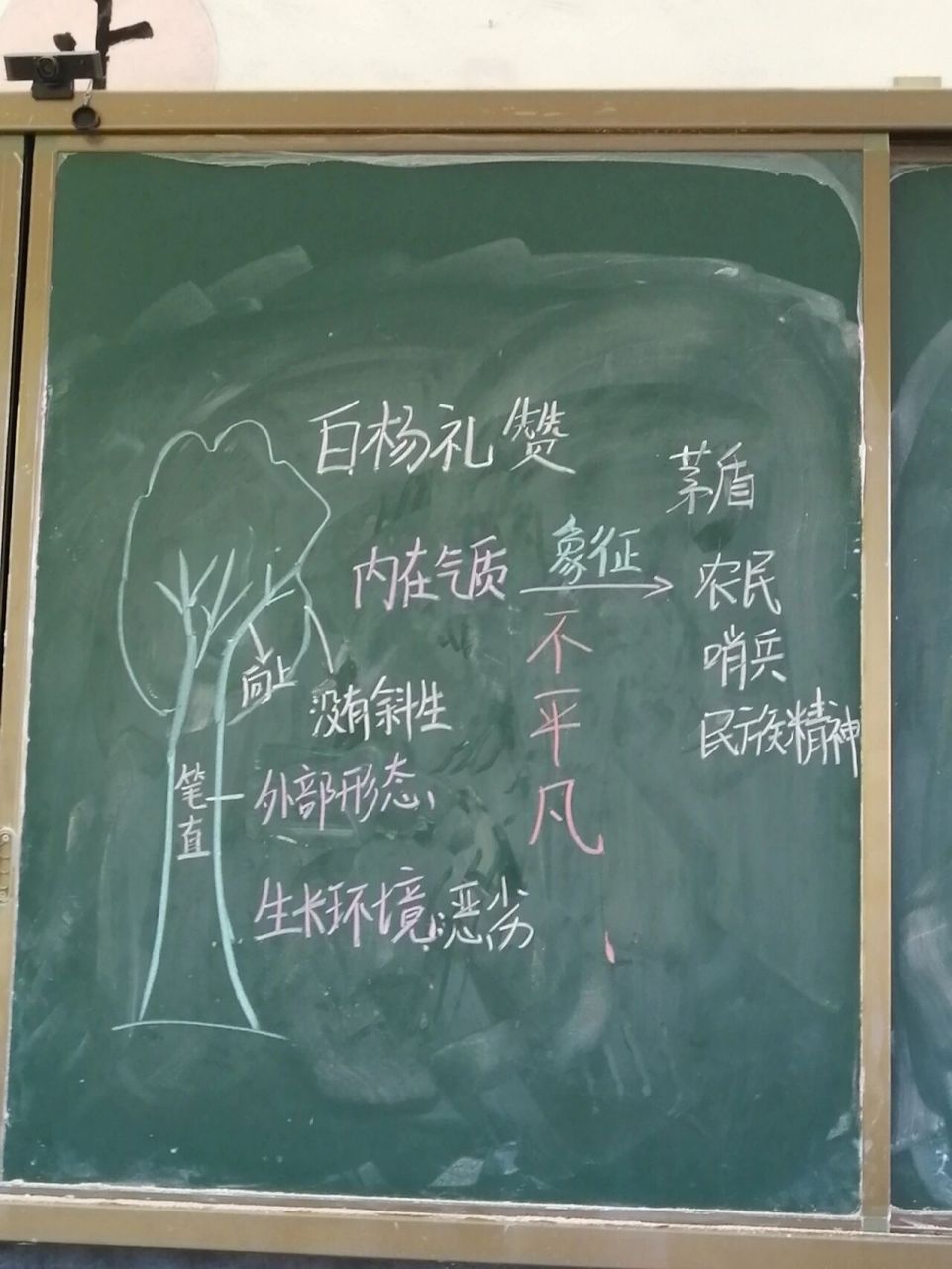 八年级语文《白杨礼赞》板书设计 先关注可分享八年级上下册完整版试