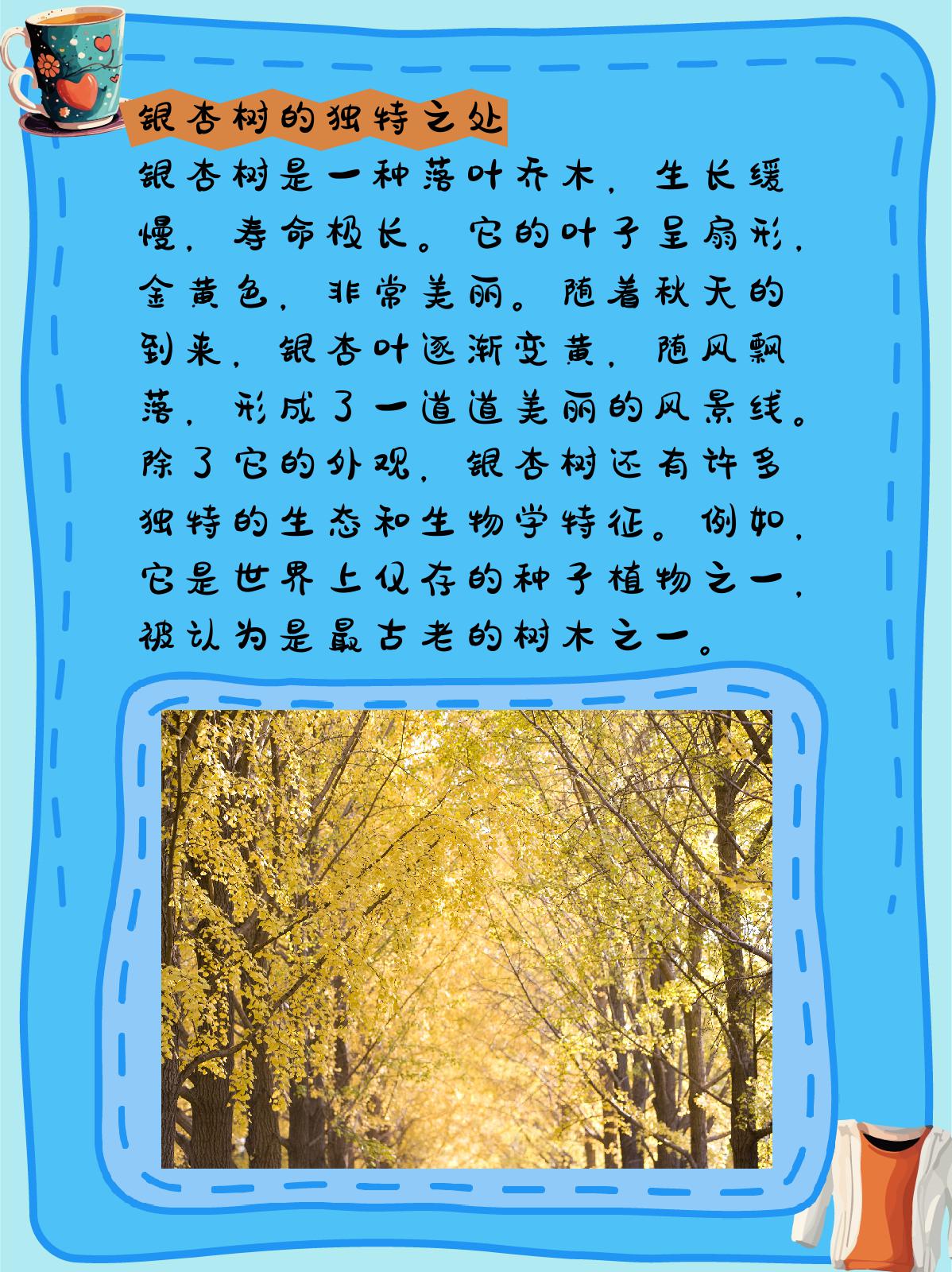 银杏树的介绍和特点