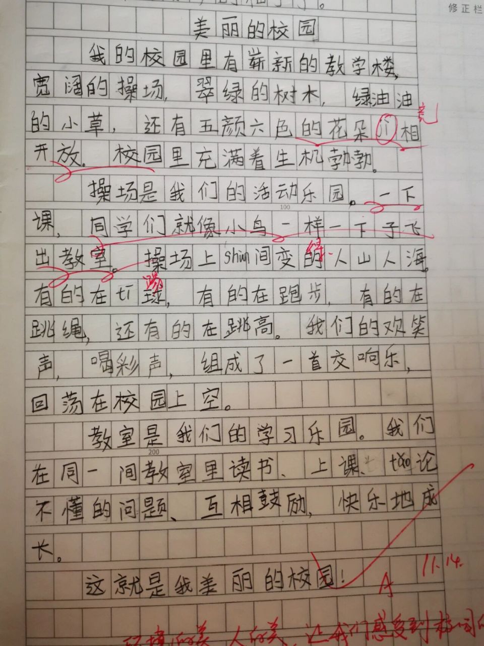 300字作文 美丽的校园图片