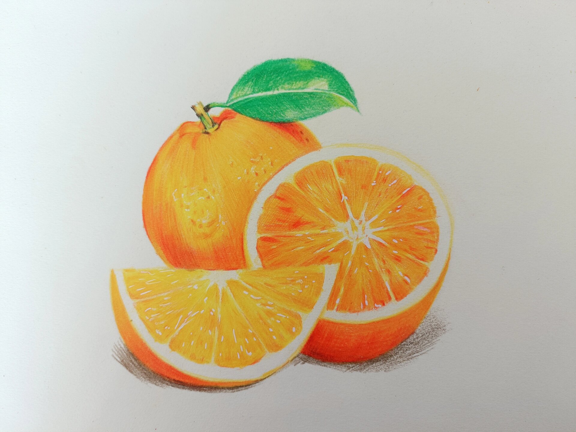 彩铅手绘# #彩铅画# #手绘# #照片转手绘# #橙子# #一起学画画