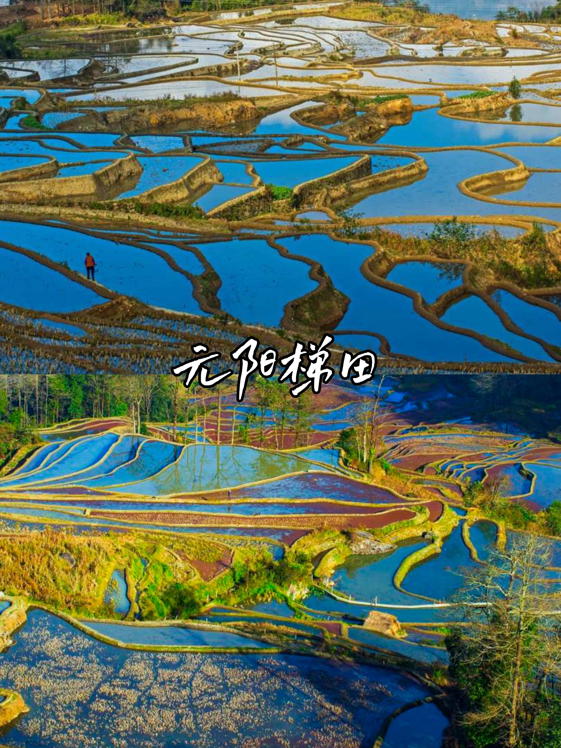 位于云南省南部,距昆明市300km · 73元阳梯田主要有三大景区:坝达