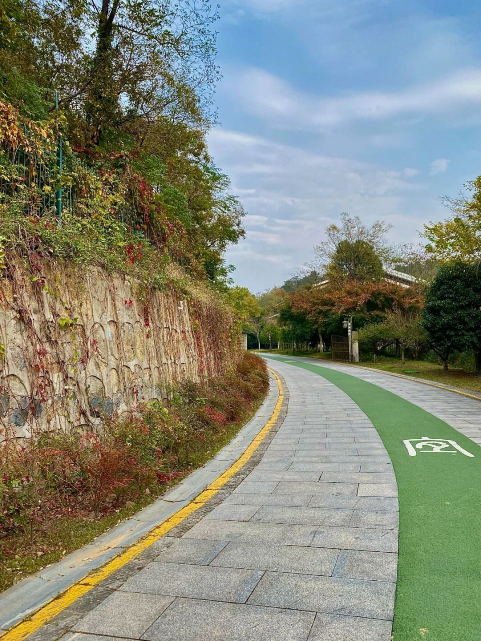 镇江踏秋好去处,镇江小众公园:镇江宜园!金山焦山北固山都给我out !