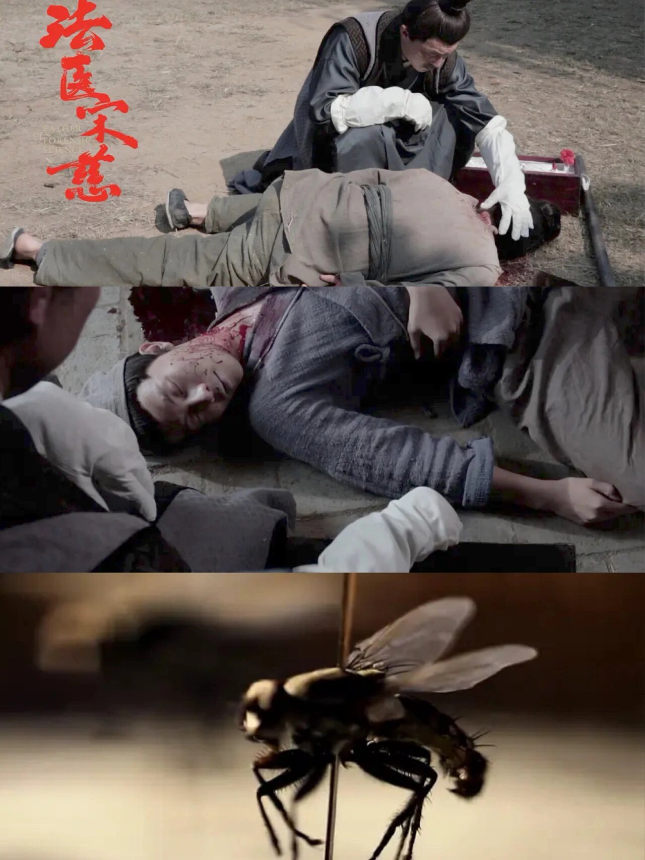 98全是宝藏!6部犯罪刑侦纪录片,部部高能!