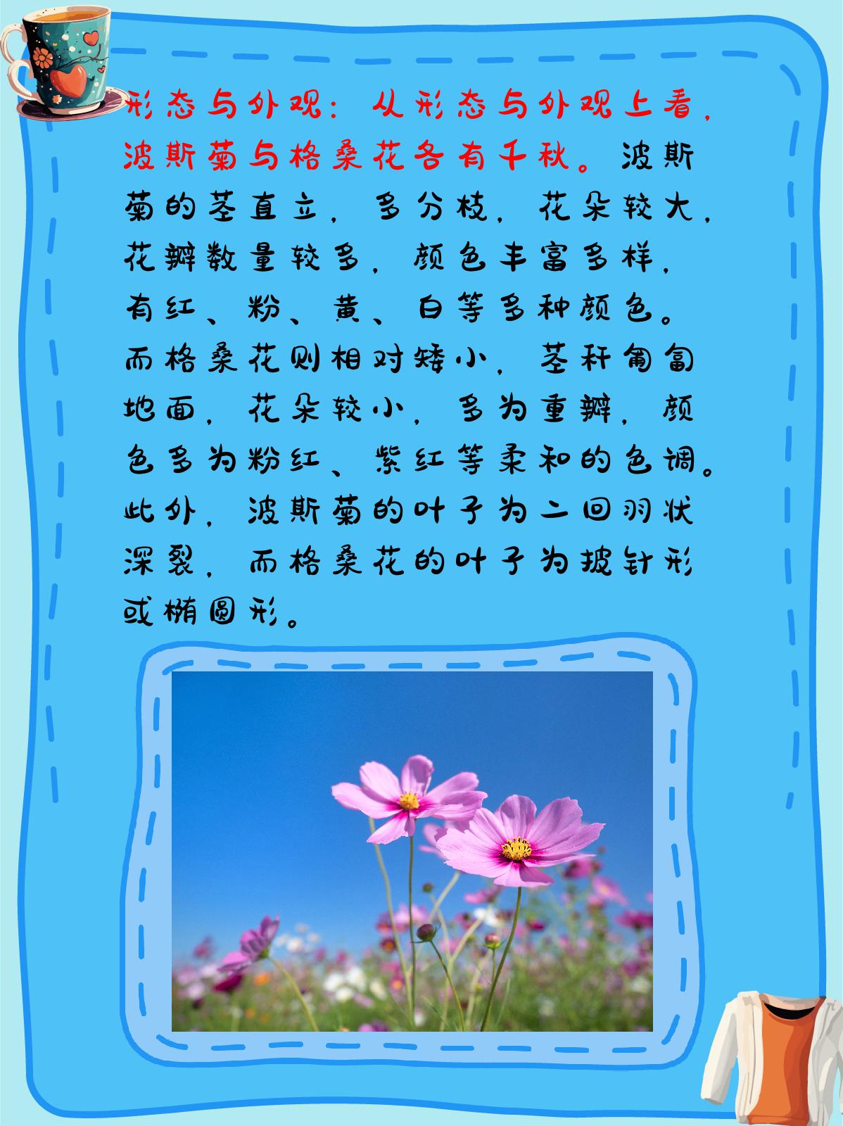 波斯菊和格桑花的区别 波斯菊与格桑花,两种迷人的花卉,各自散发着