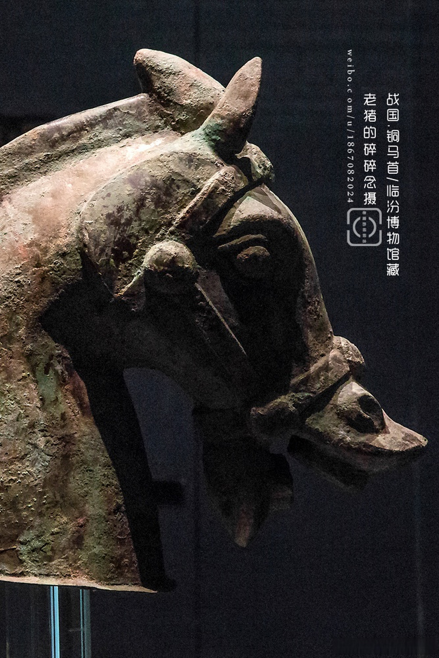 铜马首/临汾市博物馆摄