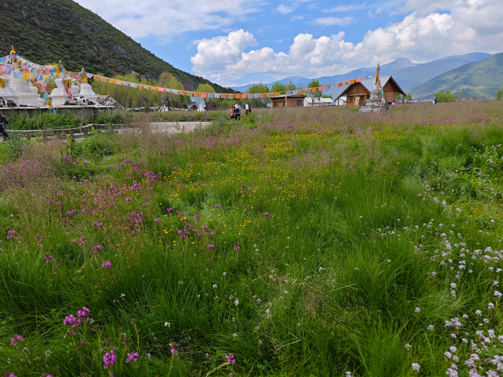 香格里拉纳帕海依拉草原风光摄影,拍得很随意,凑合看吧,一会儿重点看
