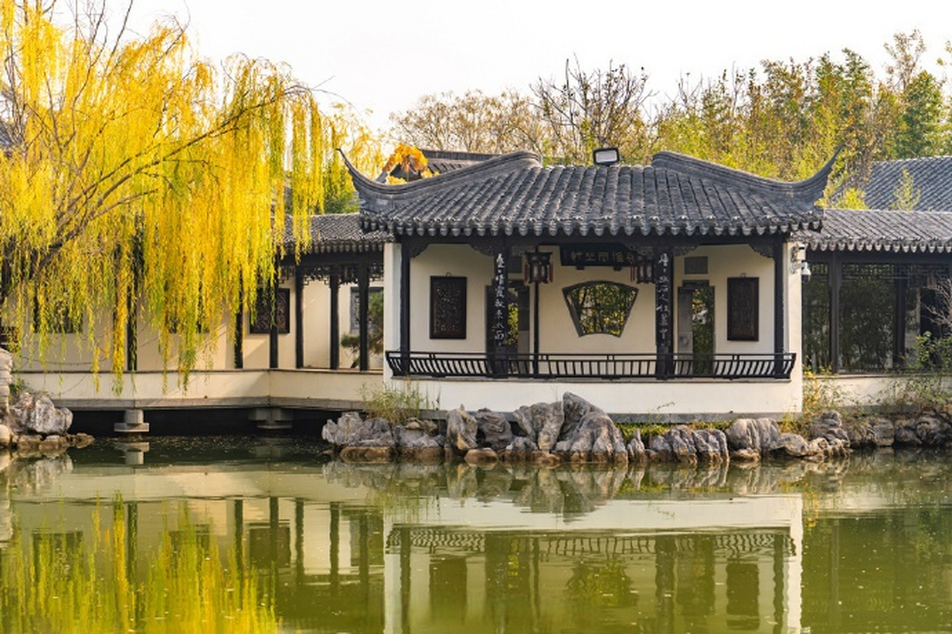 沐浴在初冬的阳光下,漫步在聊城宛园的小桥上,呼吸着园内新鲜的空气