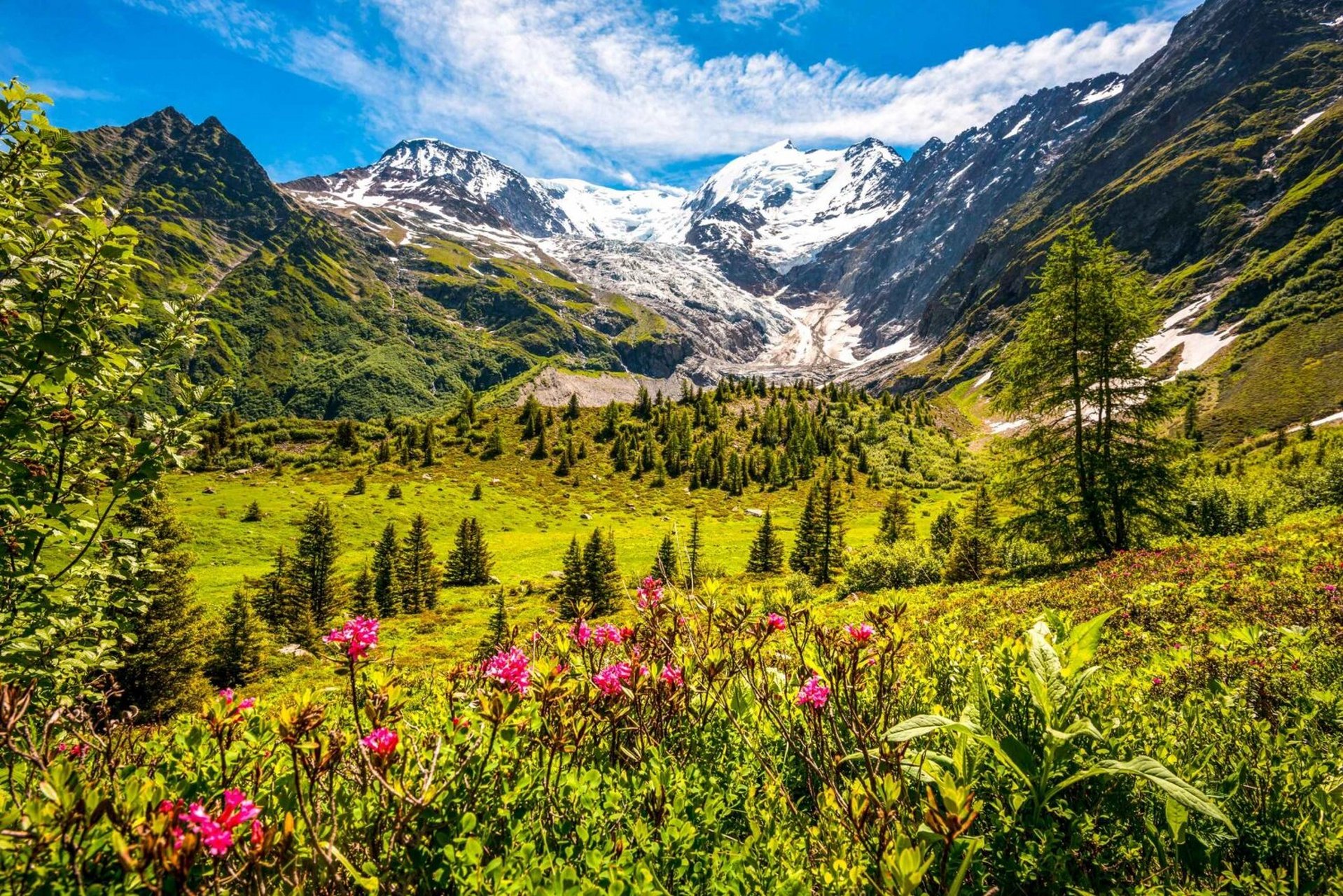 阿尔卑斯山脉主峰图片