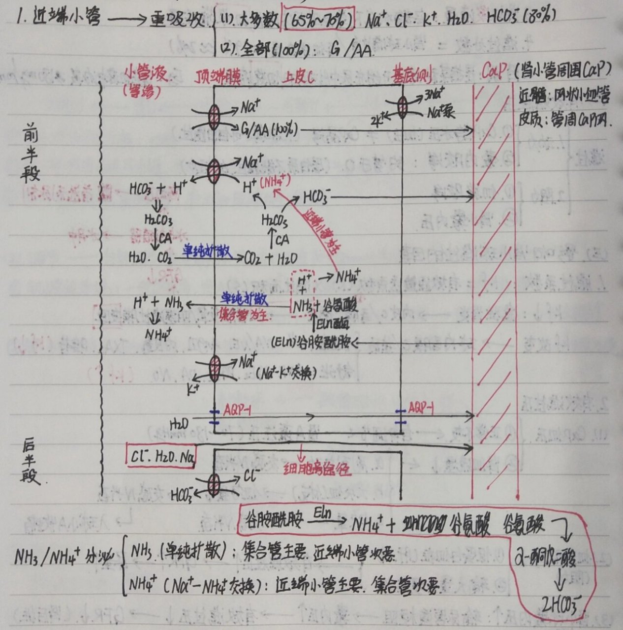 同向转运图片