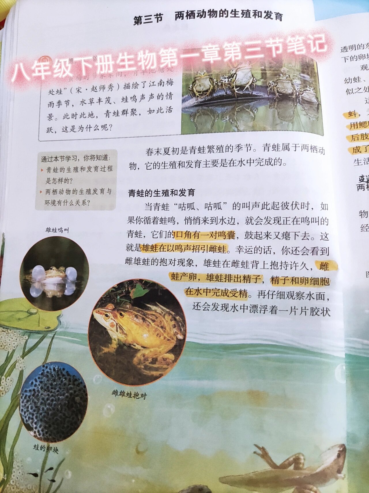 八下生物笔记视频(八下的生物笔记) 第1张 八下生物笔记视频(八下的生物笔记) 第1张