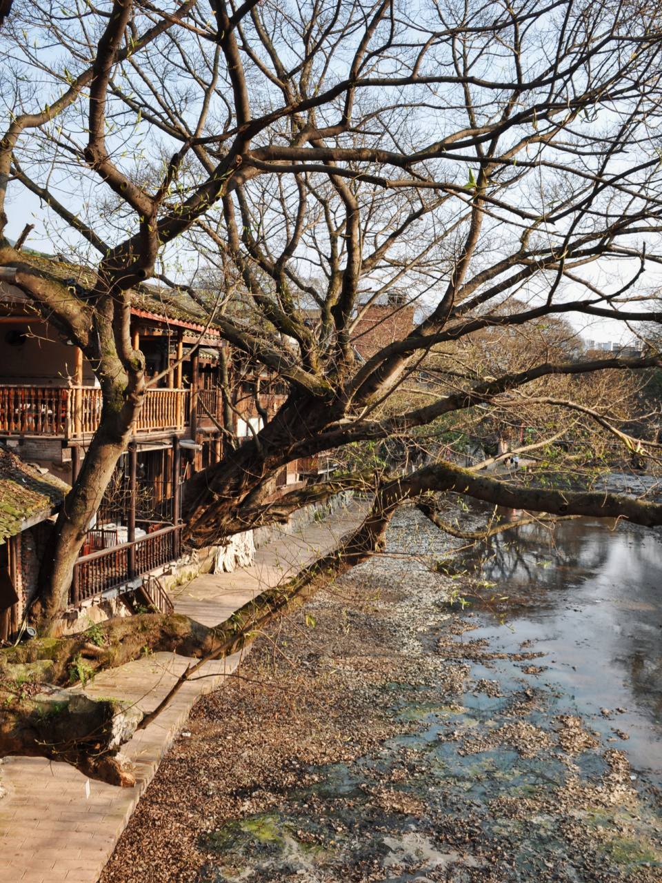 重庆北碚偏岩古镇 华蓥山下宁静的老街 缓慢的生活节奏 #重庆旅行