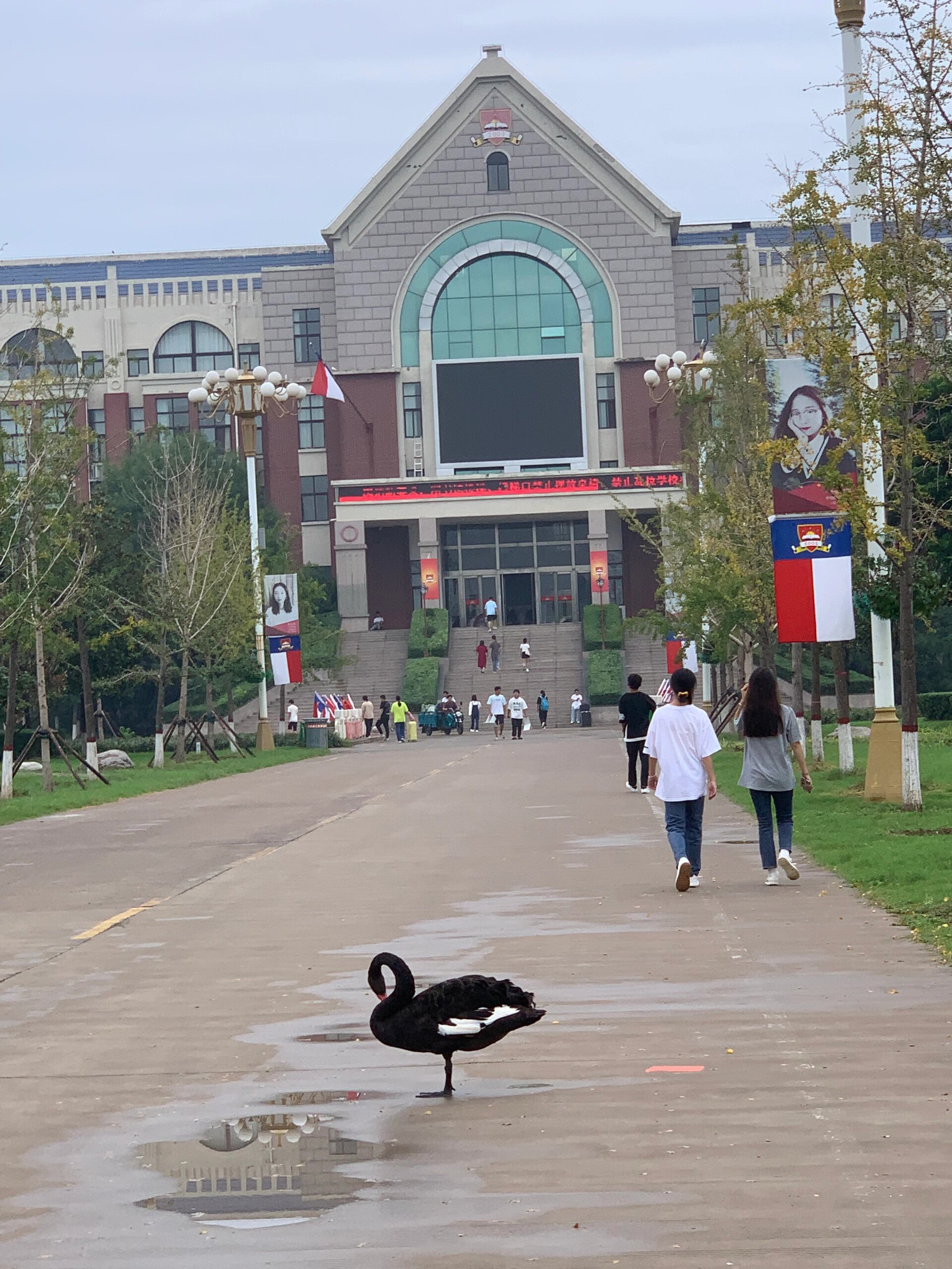 安阳学院地址图片