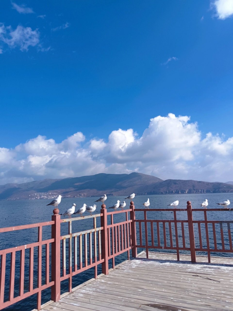 大理洱海边龙龛码头s湾太漂亮了 这里很能片 大理洱海边龙龛码头 这里