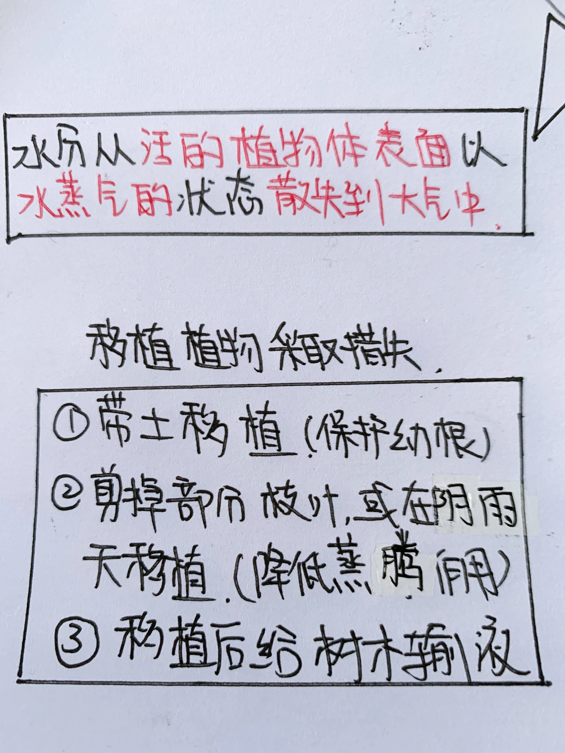 七年级上册生物第三单元蒸腾作用思维导图