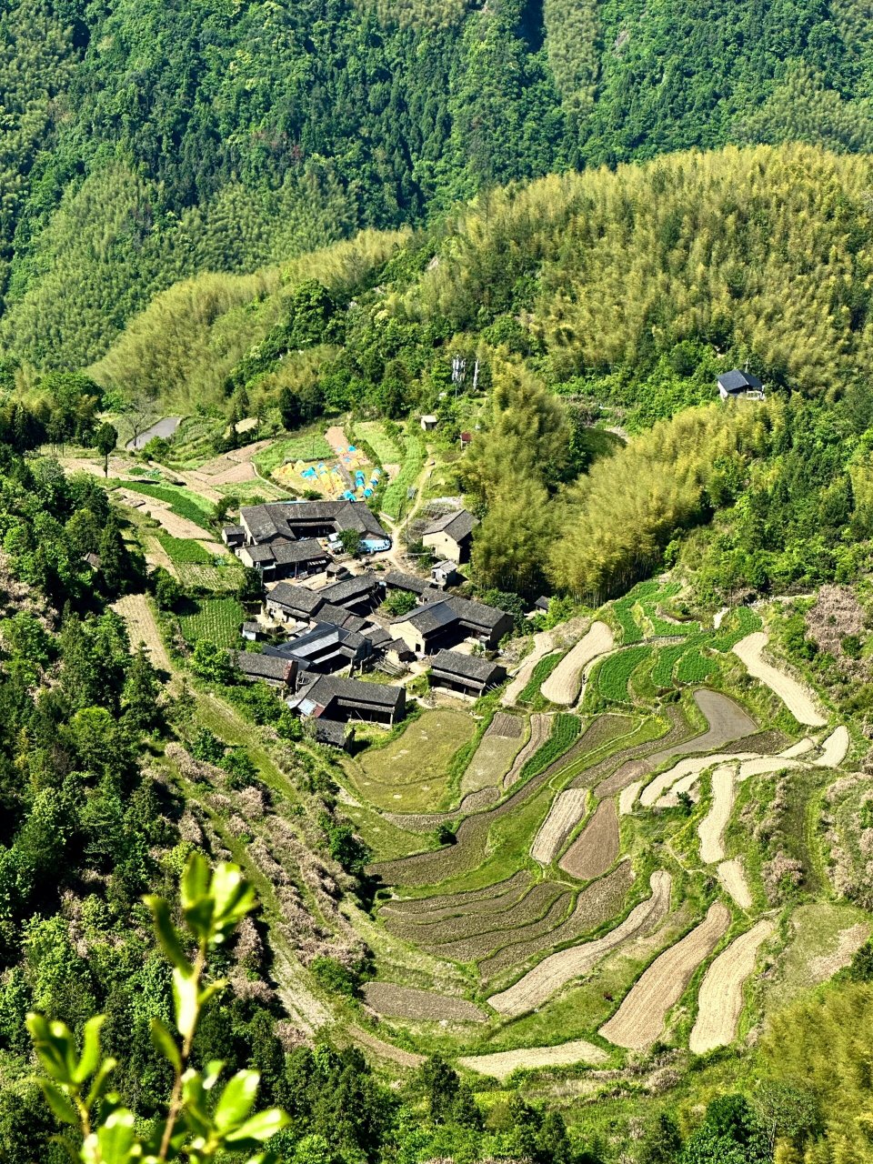 浙江仙居公盂村图片