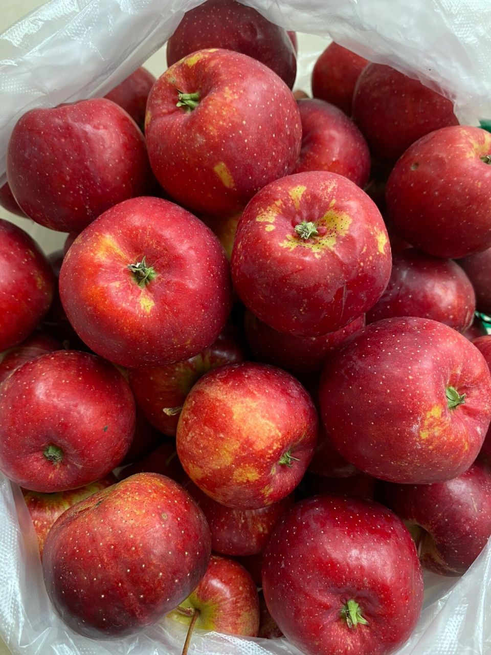 吃过一次就上瘾的东北水果00 东北特产龙丰果大秋果 酸酸甜甜,吃在