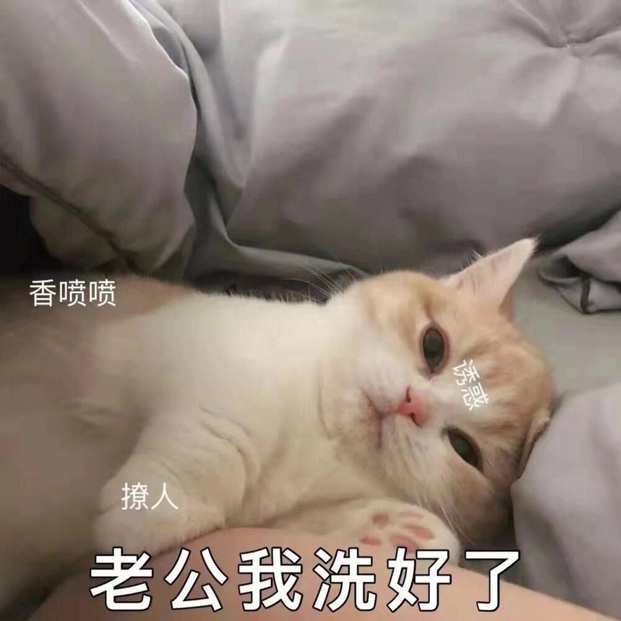 撒娇表情包,撩男朋友必备表情包