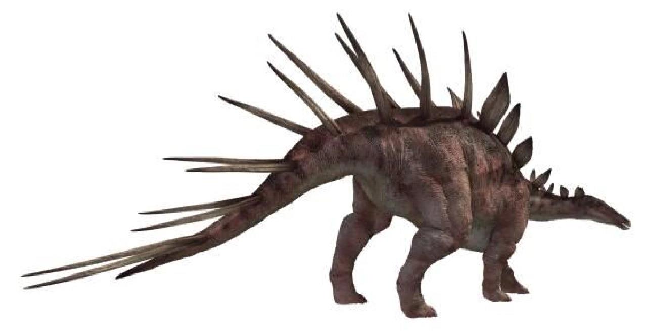 钉状龙——背上长满"钉子"的恐龙