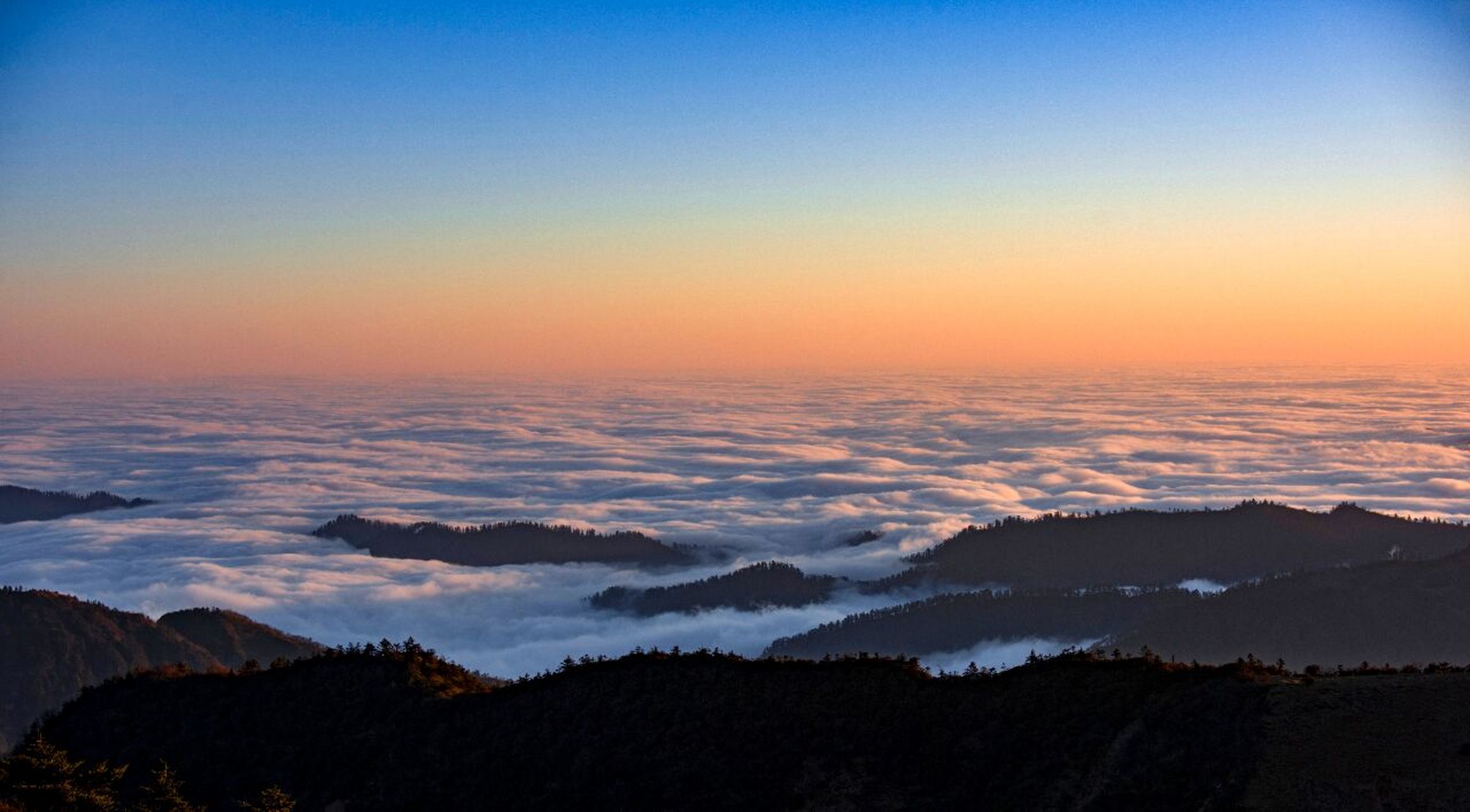 雅安丨云海篇之轿顶山 观山水之美,登高望远之妙 	 搜索了解过中国