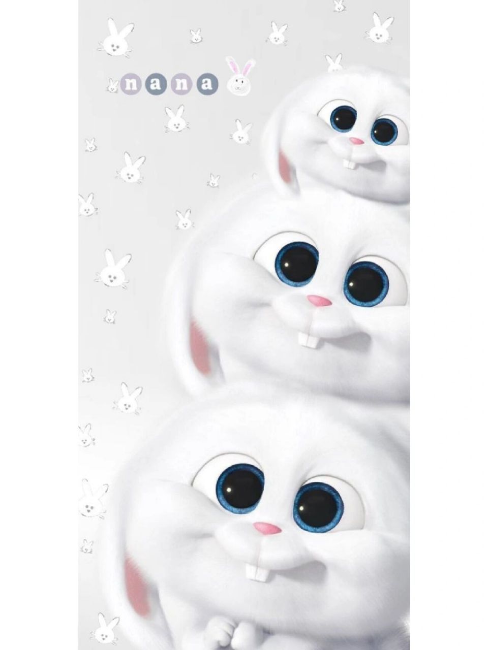 壁纸分享第②期 兔子雪球 爱宠里的兔子老大真的超可爱der~ 外表上