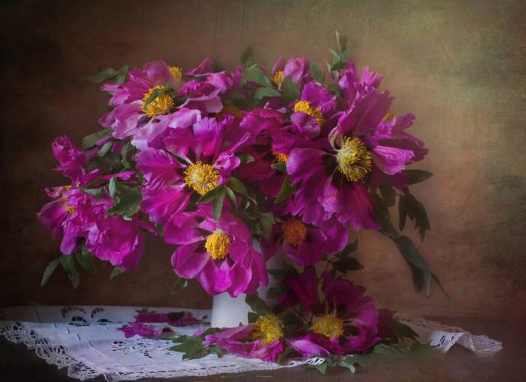 【花卉主题静物摄影作品】 摄影师:natalia kalugina