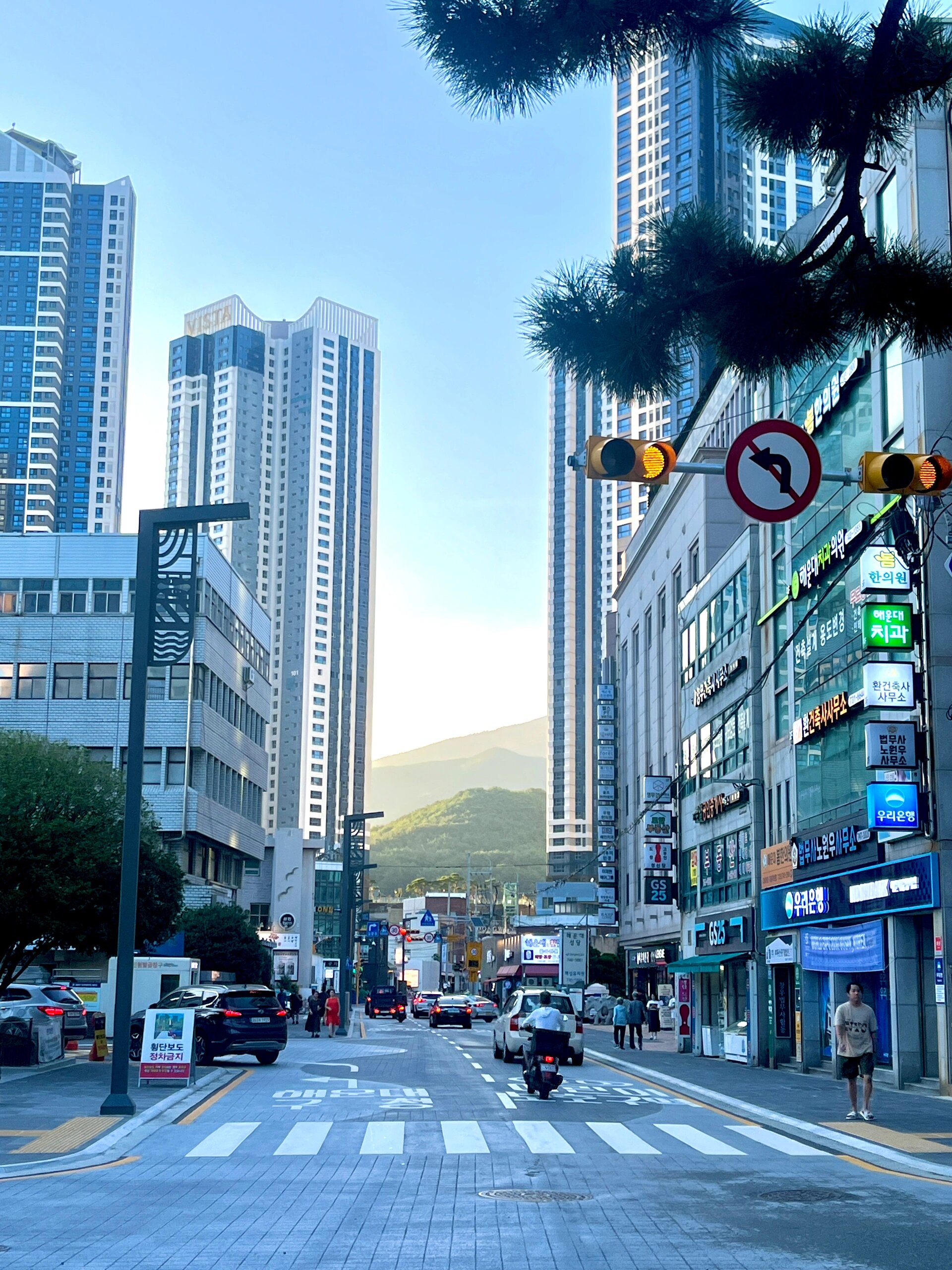 城市尽头是绿色松原