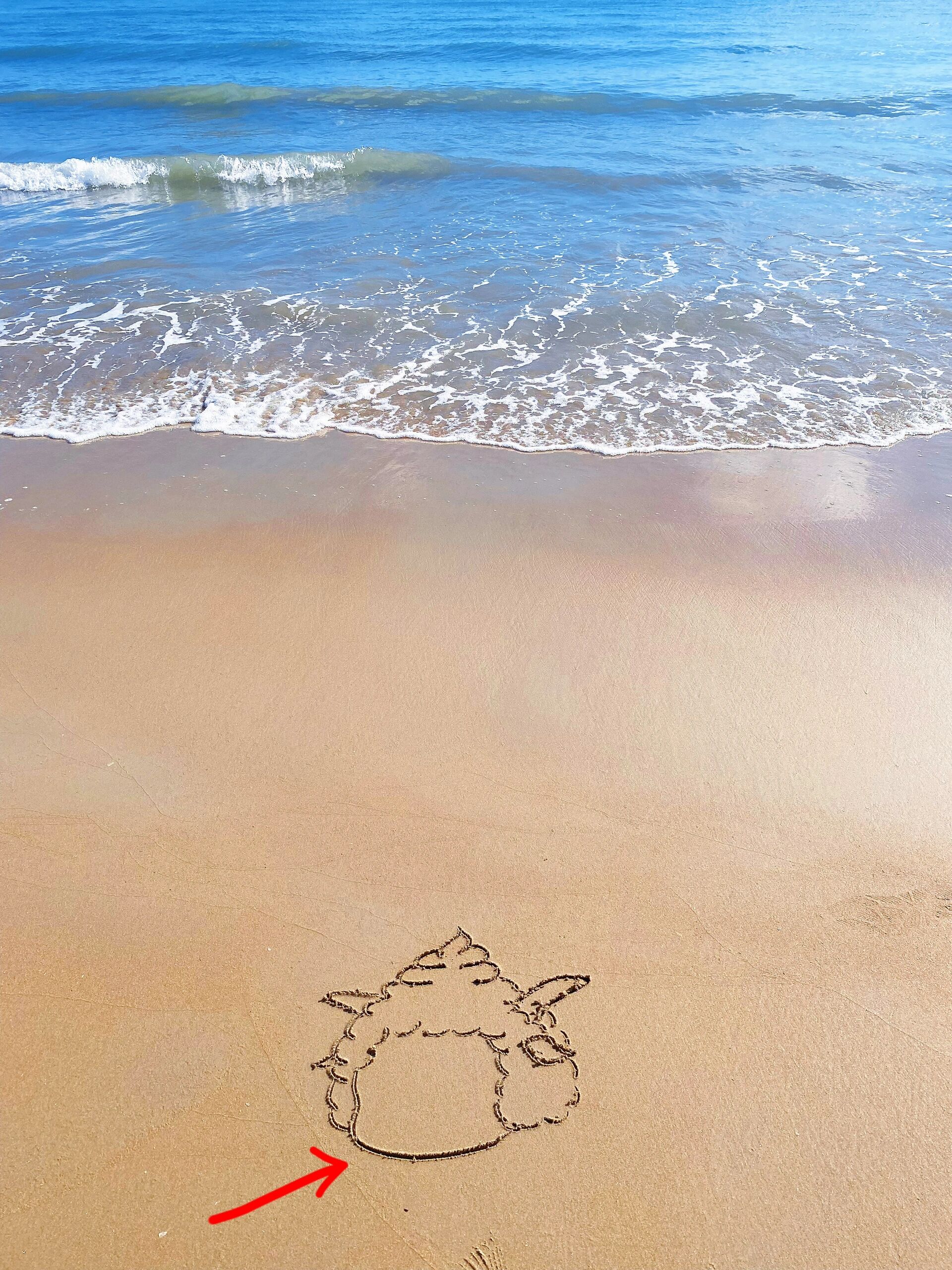 简笔画懒羊羊-附教程 喜羊羊美羊羊,懒羊羊沸羊羊慢羊羊软绵绵 学会画