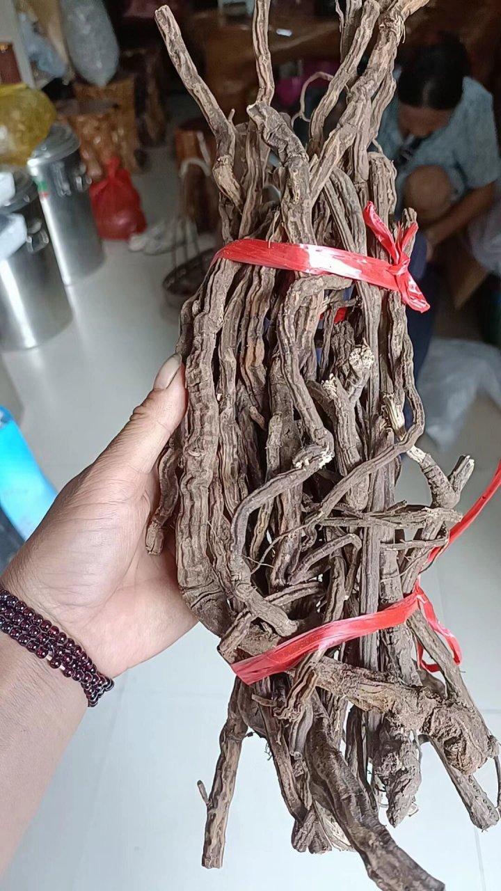 金锁匙【别名】: 金石榄/千金藤!