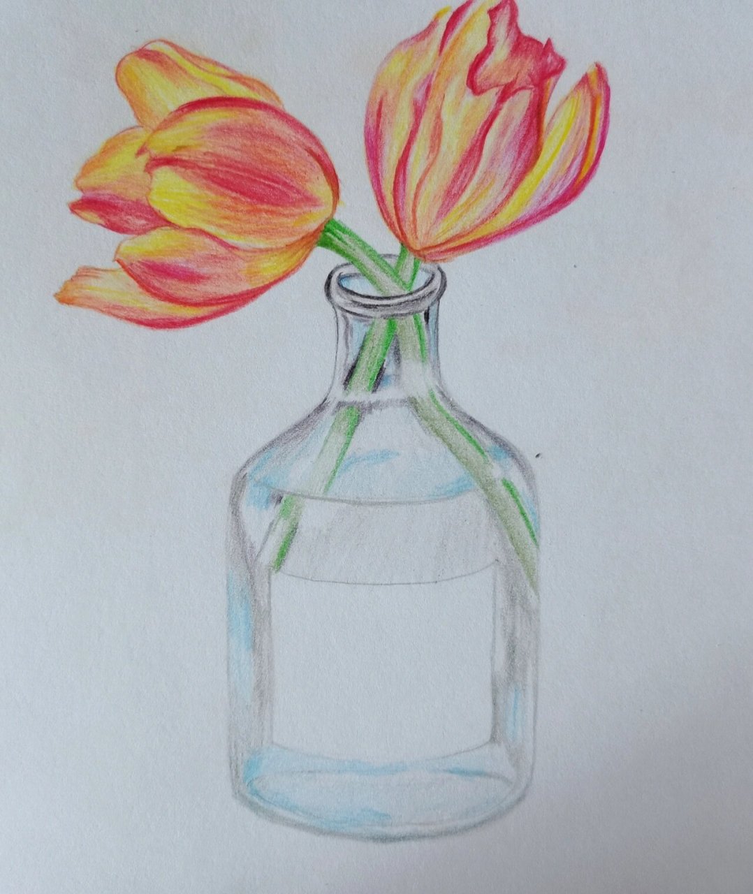 彩铅手绘花朵花瓶 含步骤图    色彩就是不停的叠加