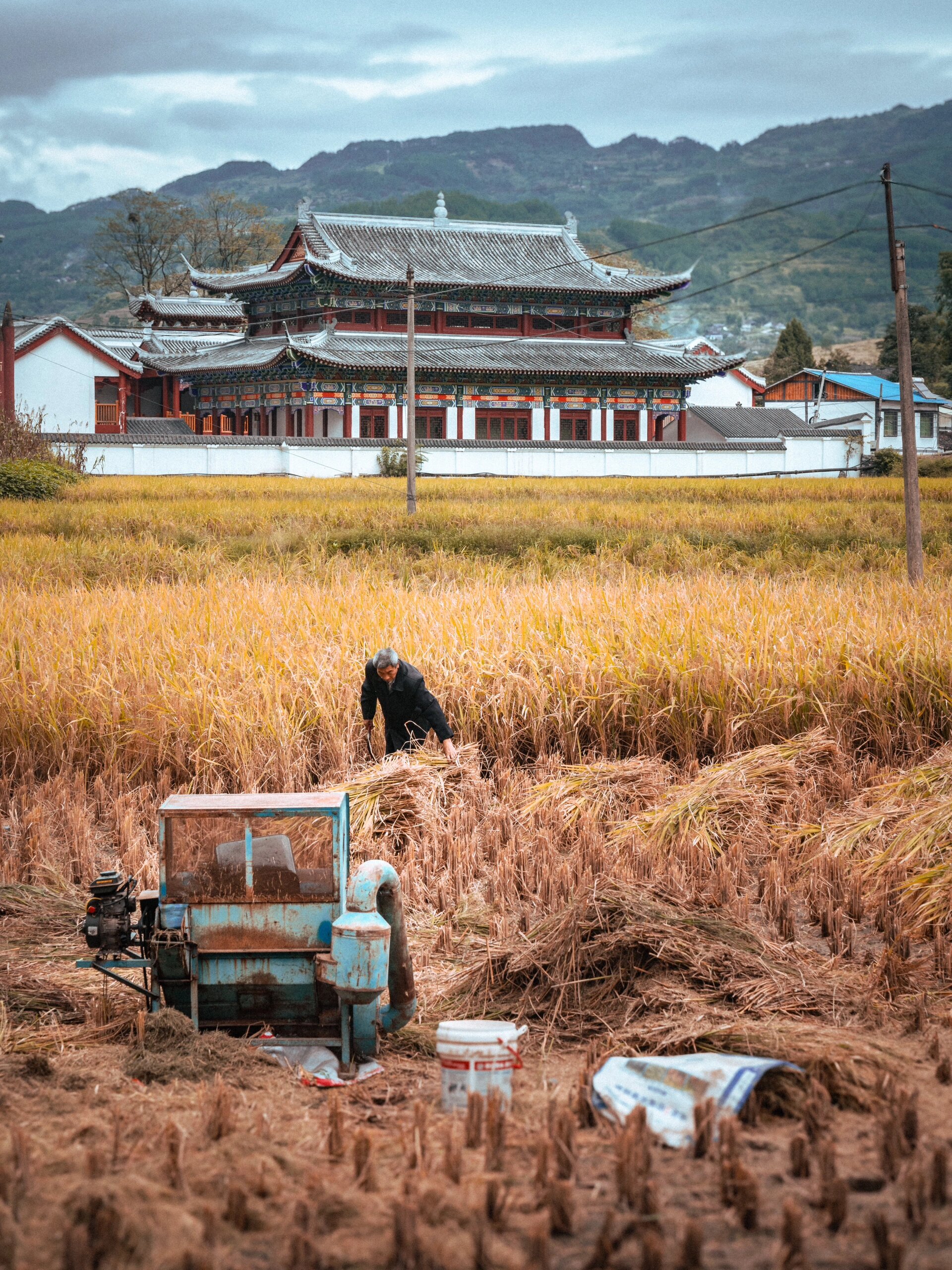 桐梓县狮溪镇柏芷山图片