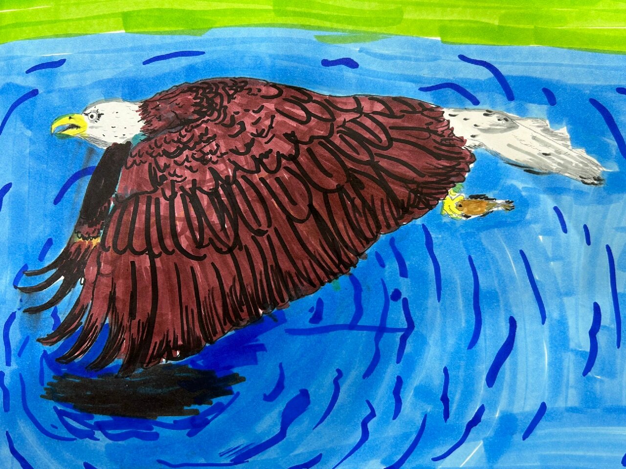 六年级上册《运动的动物》