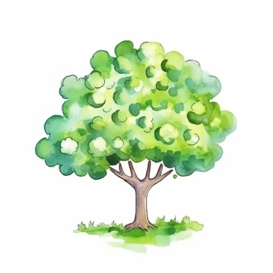 057:水彩苹果树 watercolor,02simple,02hand drawn doodle in