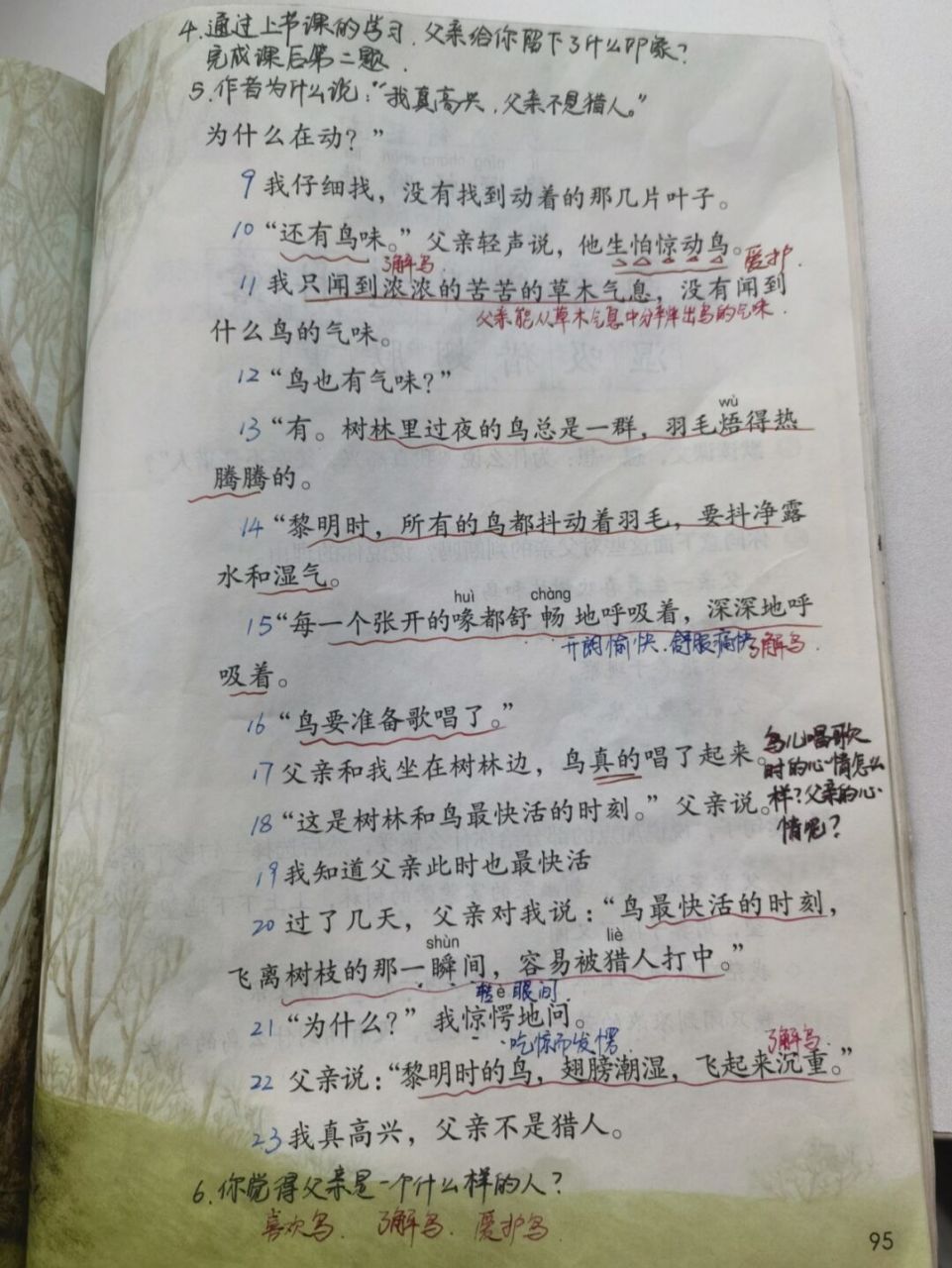 三年级语文# #小学语文备课# #教师备课笔记# #父亲#,树林和鸟