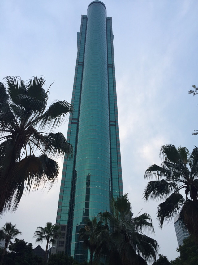 深圳市最高楼地王大厦(384米)的顶层是亚洲第一个高层观光区