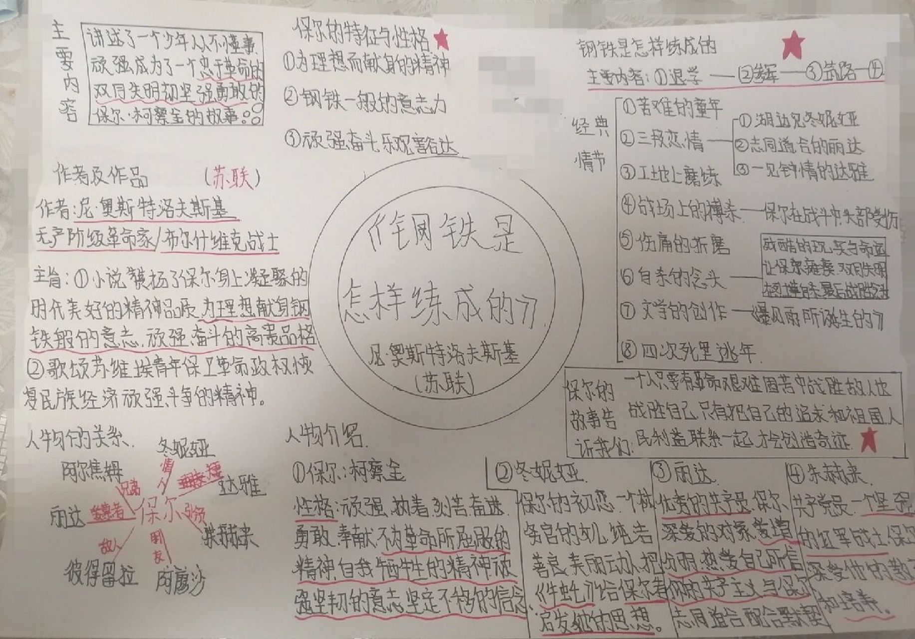 我眼中的保尔思维导图图片