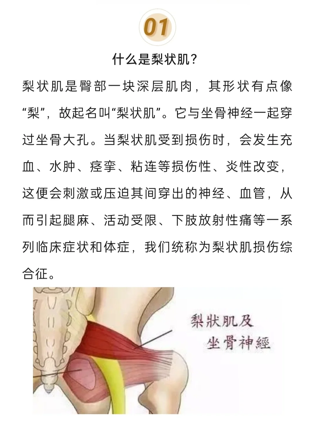 大腿窝位置图图片