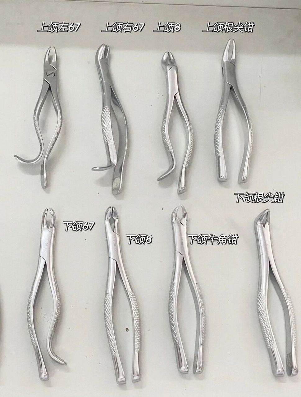 口腔护士 之拔牙钳第一弹