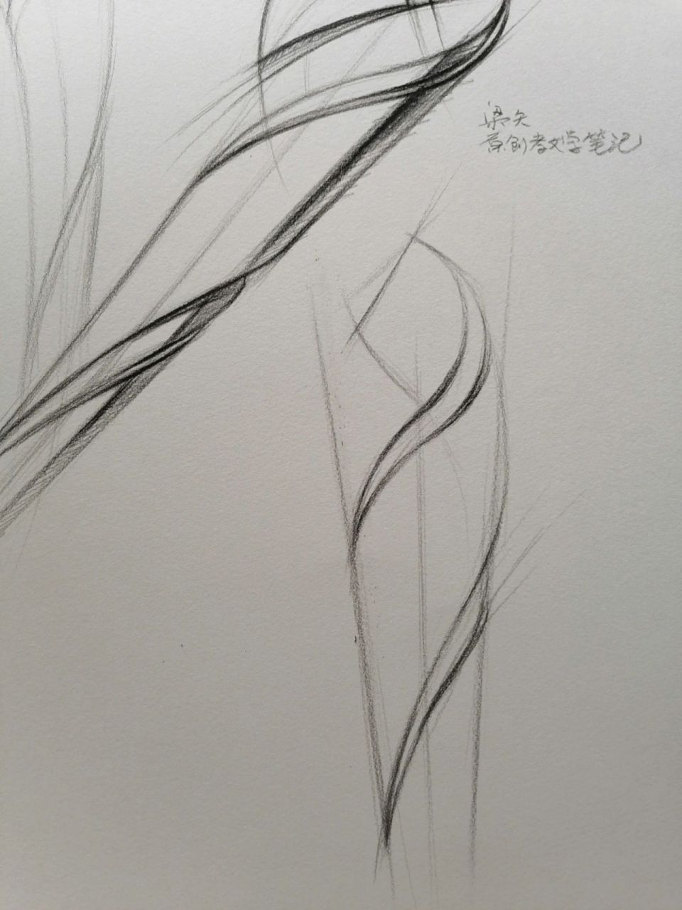 拿冬奥会火炬来练个结构素描 95冬奥会火炬设计灵感来自一片树叶