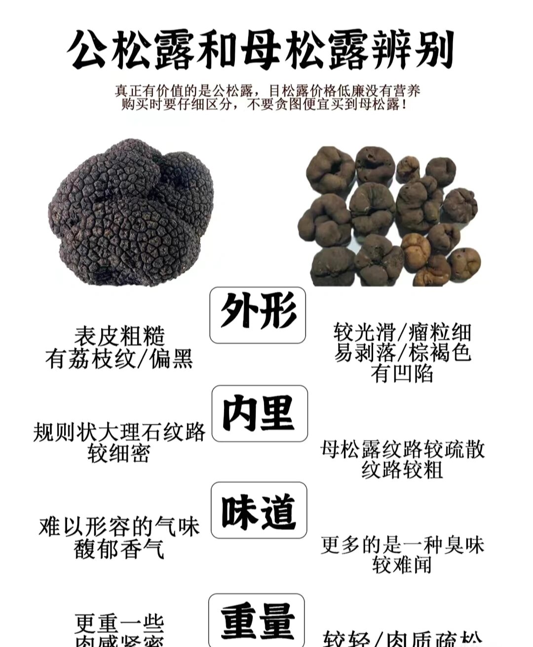 如何区分公母松露