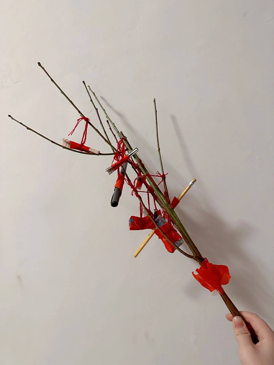 新生儿出院出门辟邪桃树枝 在老家有这样的习俗,接宝宝出院准备一枝桃