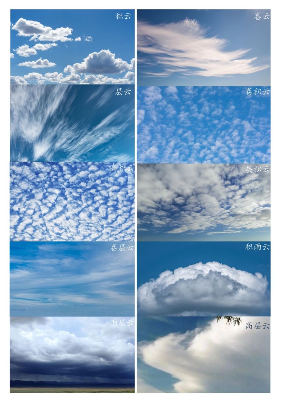 云朵科普-10种云属认知卡片 云朵科普-十种云属认知卡片 最常被认为