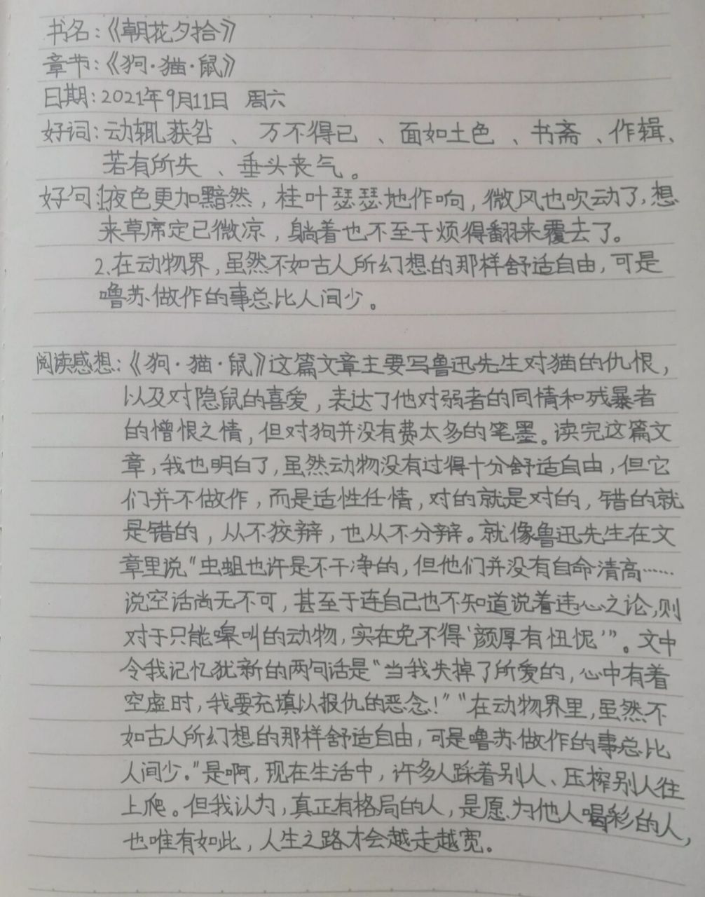 《朝花夕拾》(狗61猫61鼠)读书笔记 《朝花夕拾》 《狗61猫61